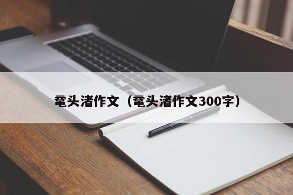 鼋头渚作文（鼋头渚作文300字）