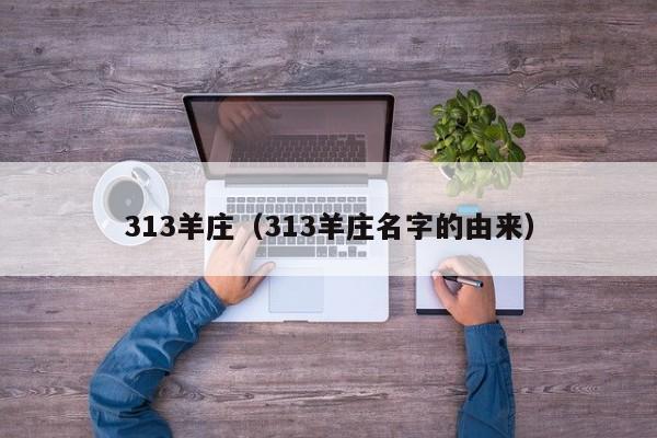 313羊庄（313羊庄名字的由来）