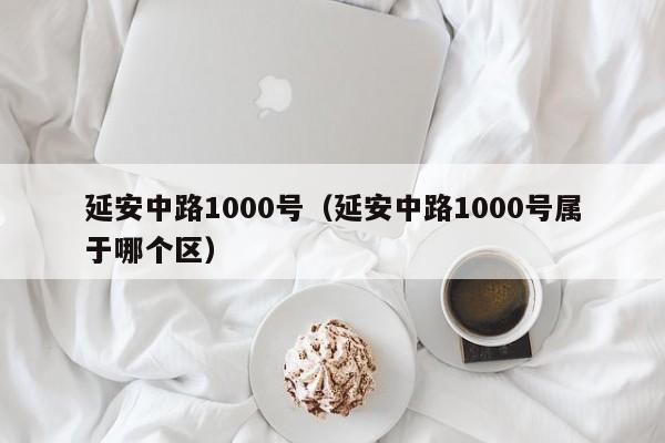 延安中路1000号（延安中路1000号属于哪个区）